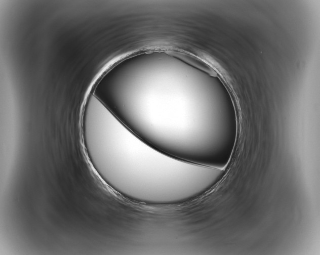 X0000086231392200703290934