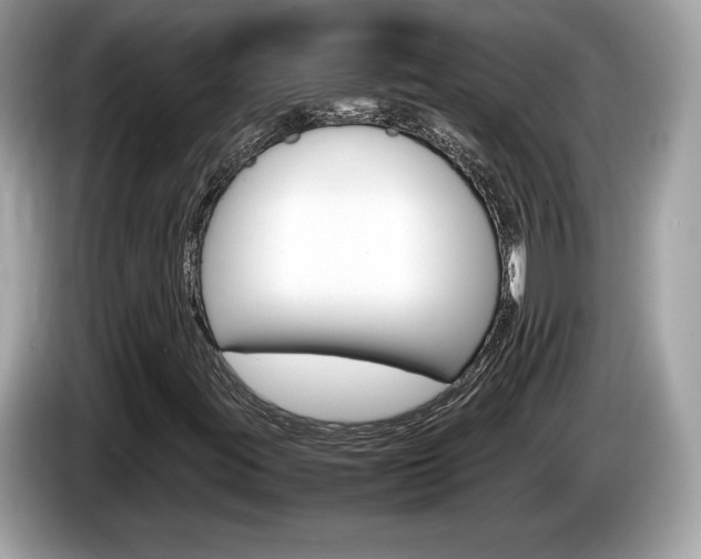 X0000086231395200703290933
