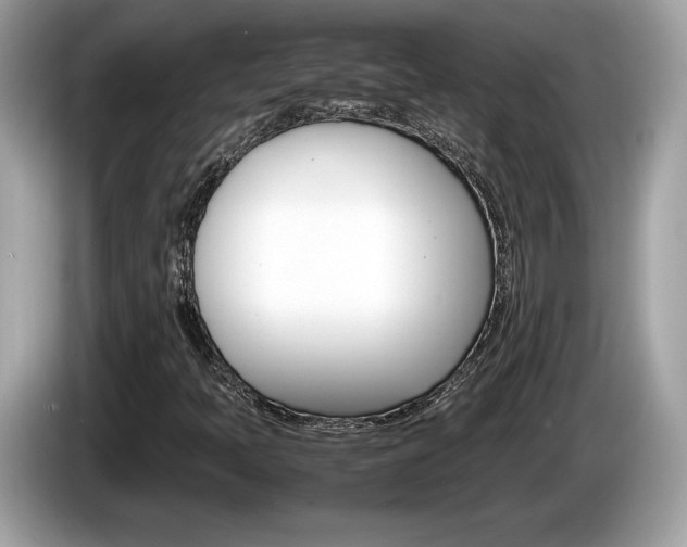 X0000086231397200703290933