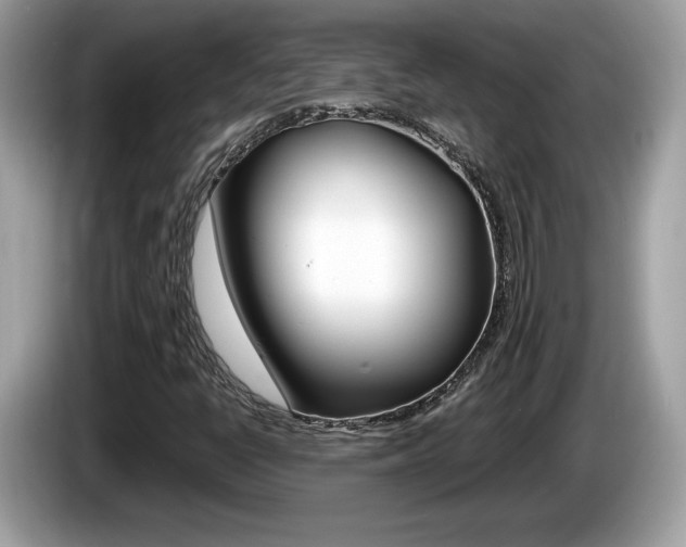 X0000086231398200703290933