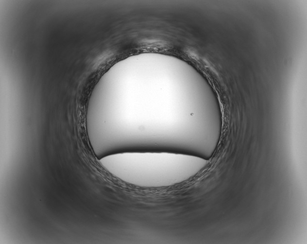 X0000086231399200703290933