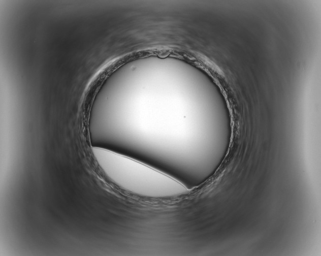 X0000086231400200703290933