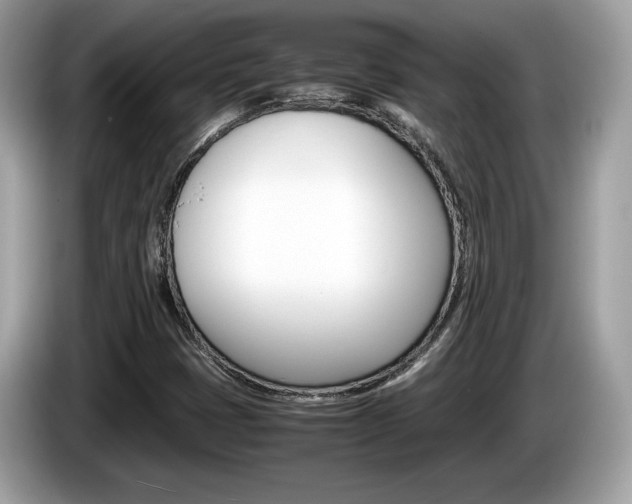 X0000086231401200703290933
