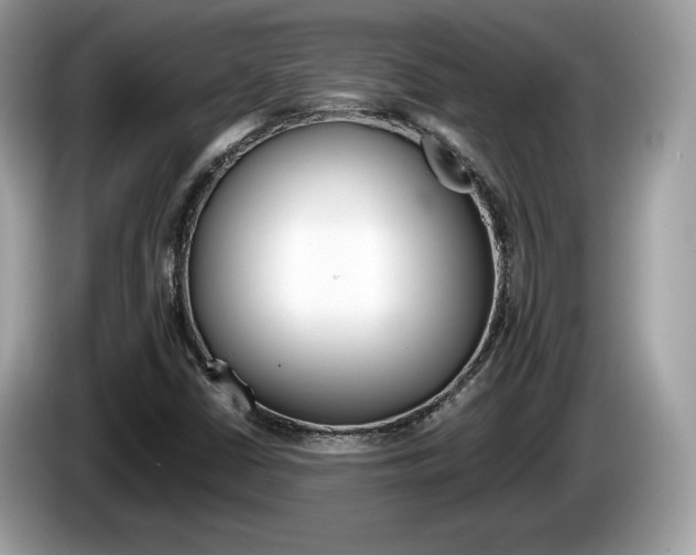 X0000086231402200703290933