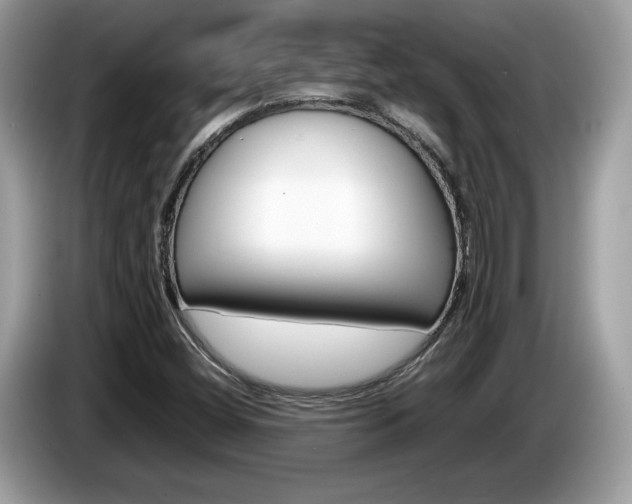 X0000086231404200703290933