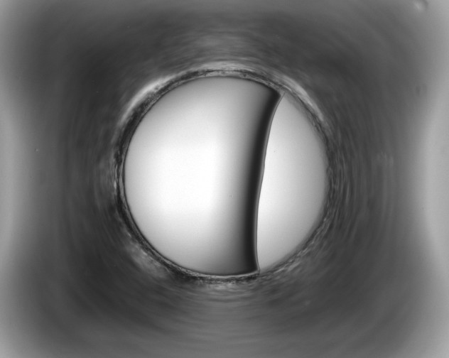 X0000086231408200703290933