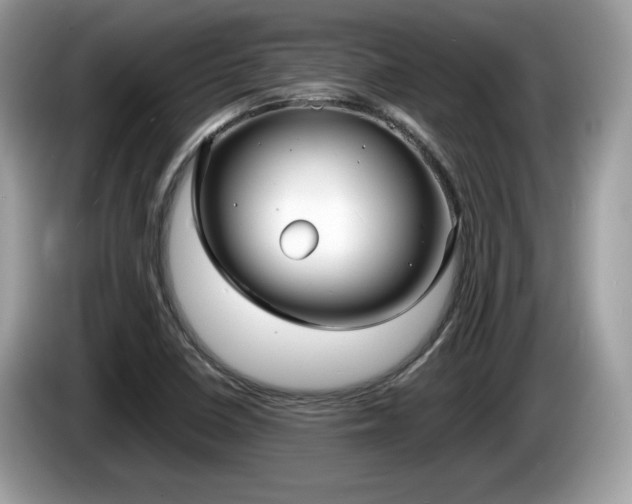 X0000086231410200703290933