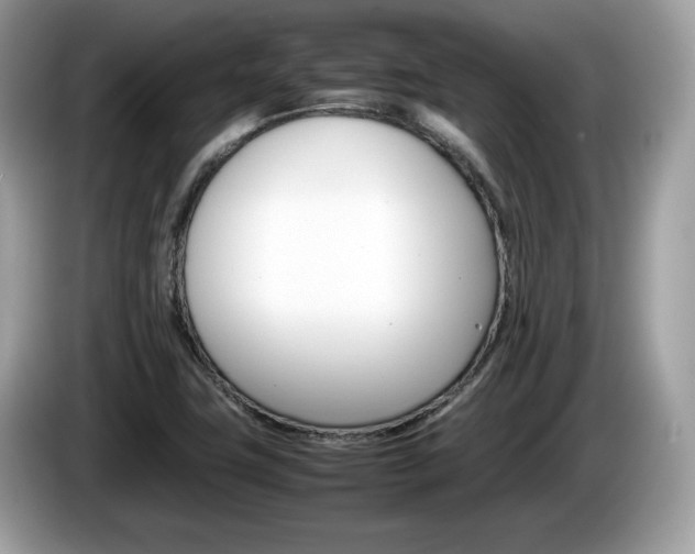 X0000086231411200703290933