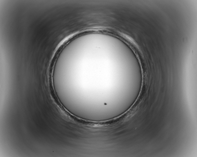 X0000086231412200703290933