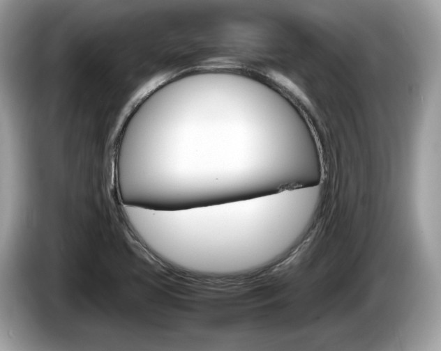 X0000086231413200703290934