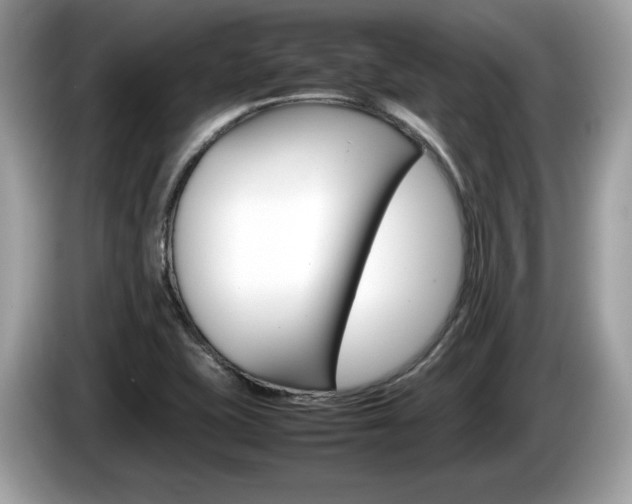 X0000086231415200703290934
