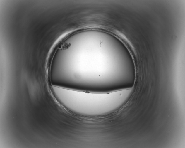 X0000086231416200703290934