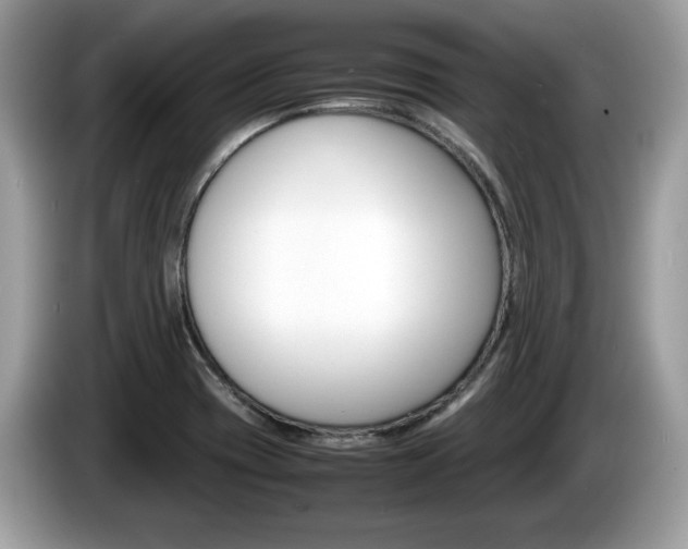 X0000086231417200703290934