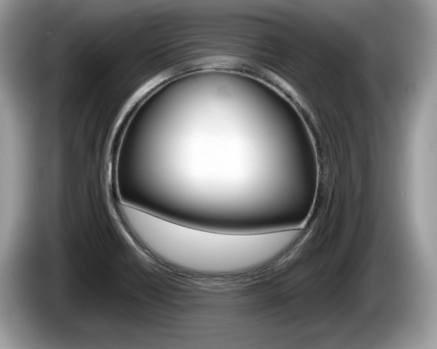 X0000086231418200703290934