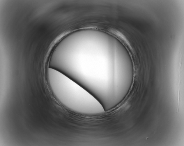 X0000086231419200703290934
