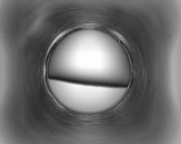 X0000086231420200703290934