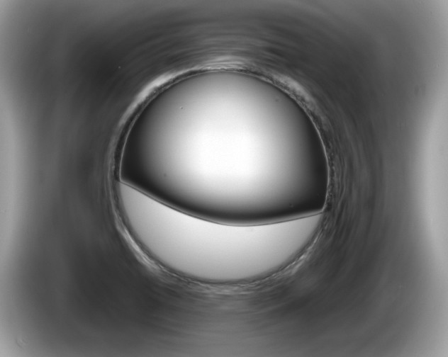 X0000086231422200703290934