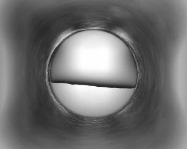 X0000086231423200703290934