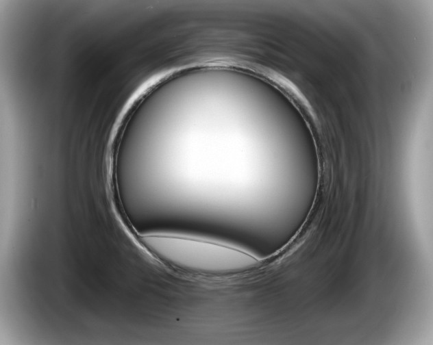 X0000086231424200703290934