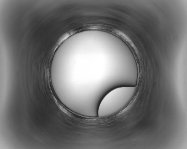 X0000086231425200703290934