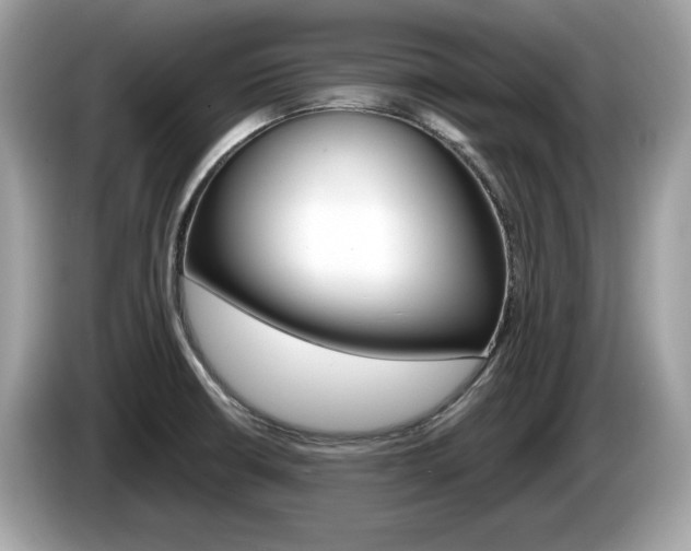 X0000086231426200703290934