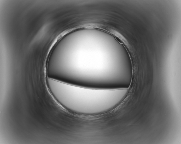 X0000086231428200703290934