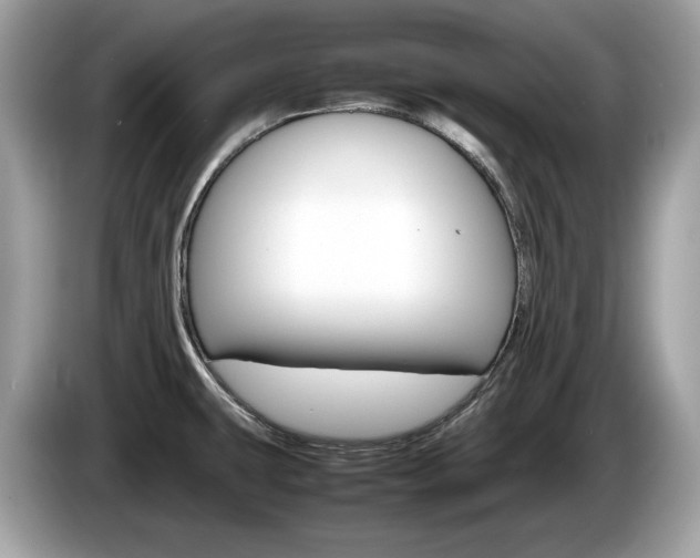 X0000086231431200703290934