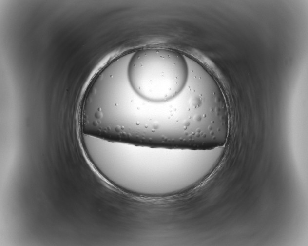 X0000086231432200703290934