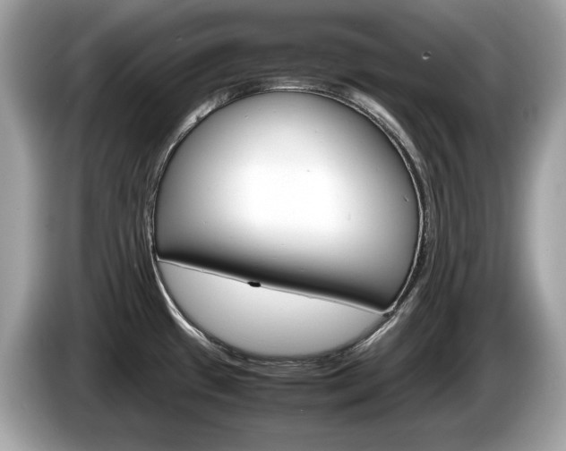X0000086231433200703290934