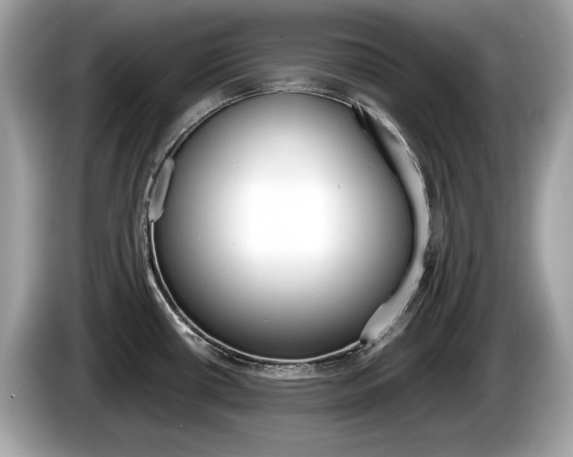 X0000086231434200703290934