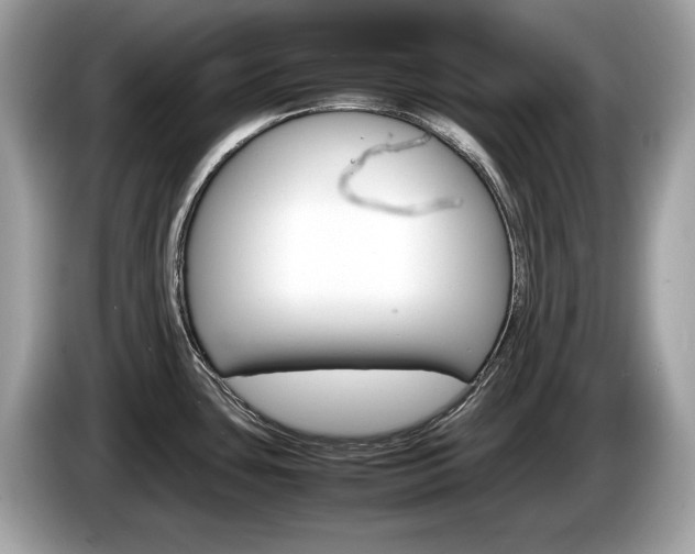 X0000086231435200703290934