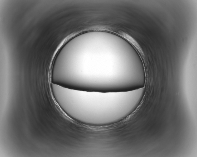 X0000086231436200703290934
