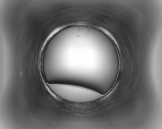 X0000086231437200703290934