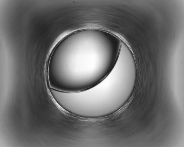X0000086231438200703290934