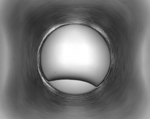 X0000086231439200703290934