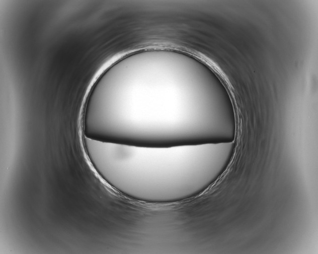 X0000086231440200703290934