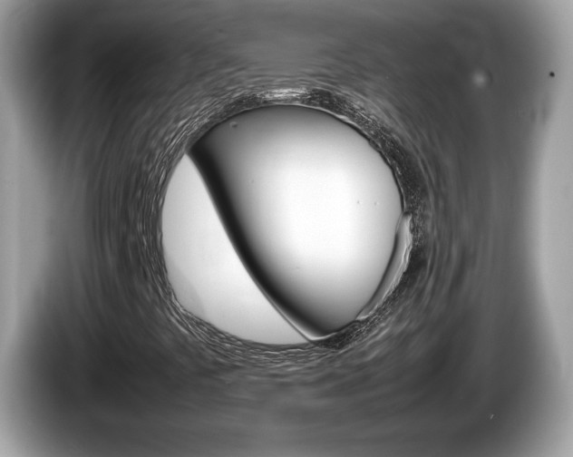 X0000086231441200703290933