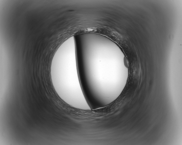 X0000086231442200703290933