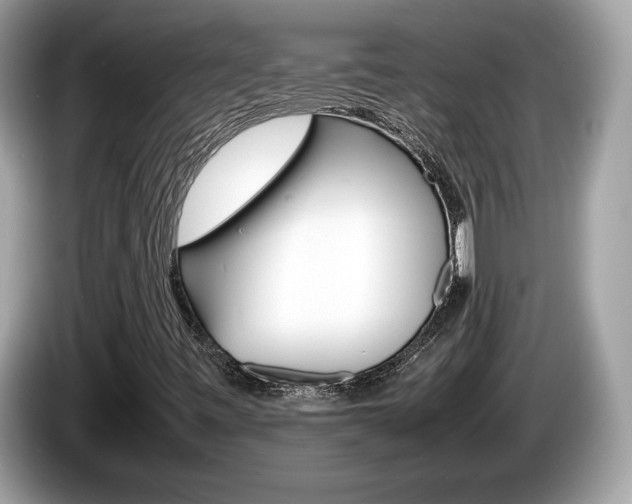 X0000086231443200703290933