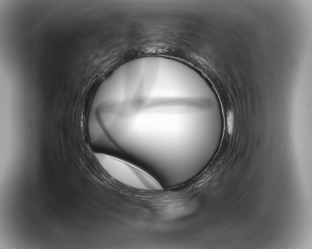 X0000086231444200703290933
