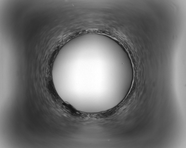 X0000086231445200703290933
