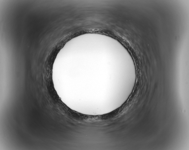 X0000086231447200703290933