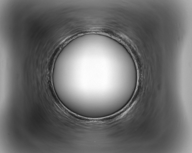 X0000086231449200703290933