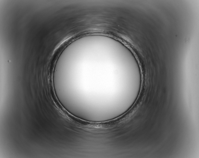 X0000086231450200703290933
