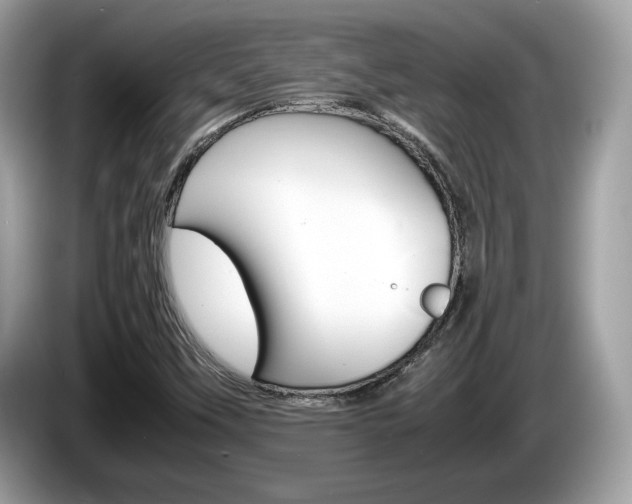X0000086231451200703290933