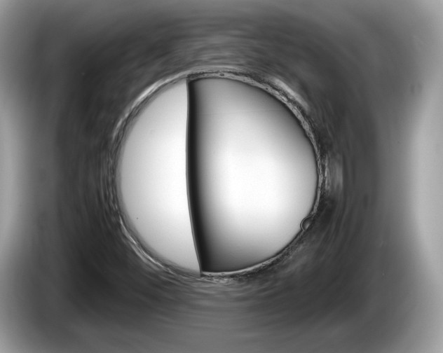 X0000086231452200703290933