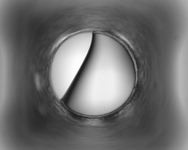 X0000086231455200703290933