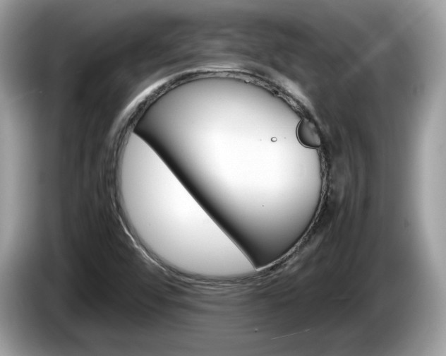 X0000086231456200703290933