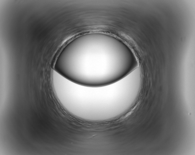 X0000086231457200703290933