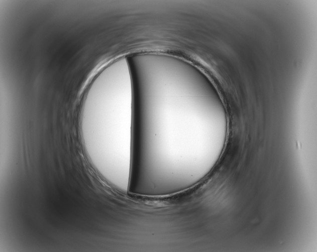 X0000086231459200703290933